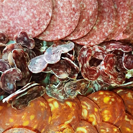 Sant March Tossa de Mar