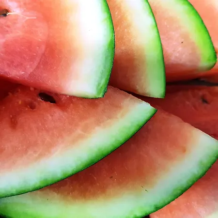 Sant March Hotel Tossa de Mar