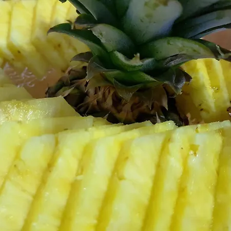 מלון Sant March טוסה דה מאר